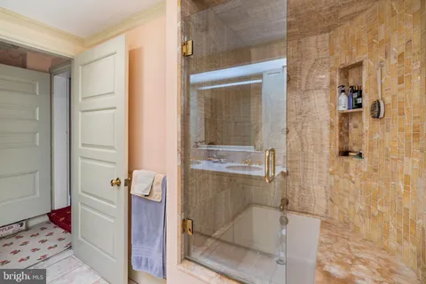 a bathroom with a bathtub and a shower