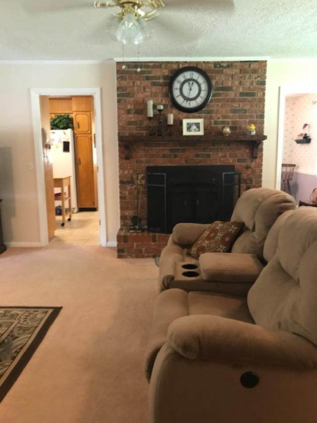231 Redds Branch Road Aiken, SC 29801 - Photo 3 of 11