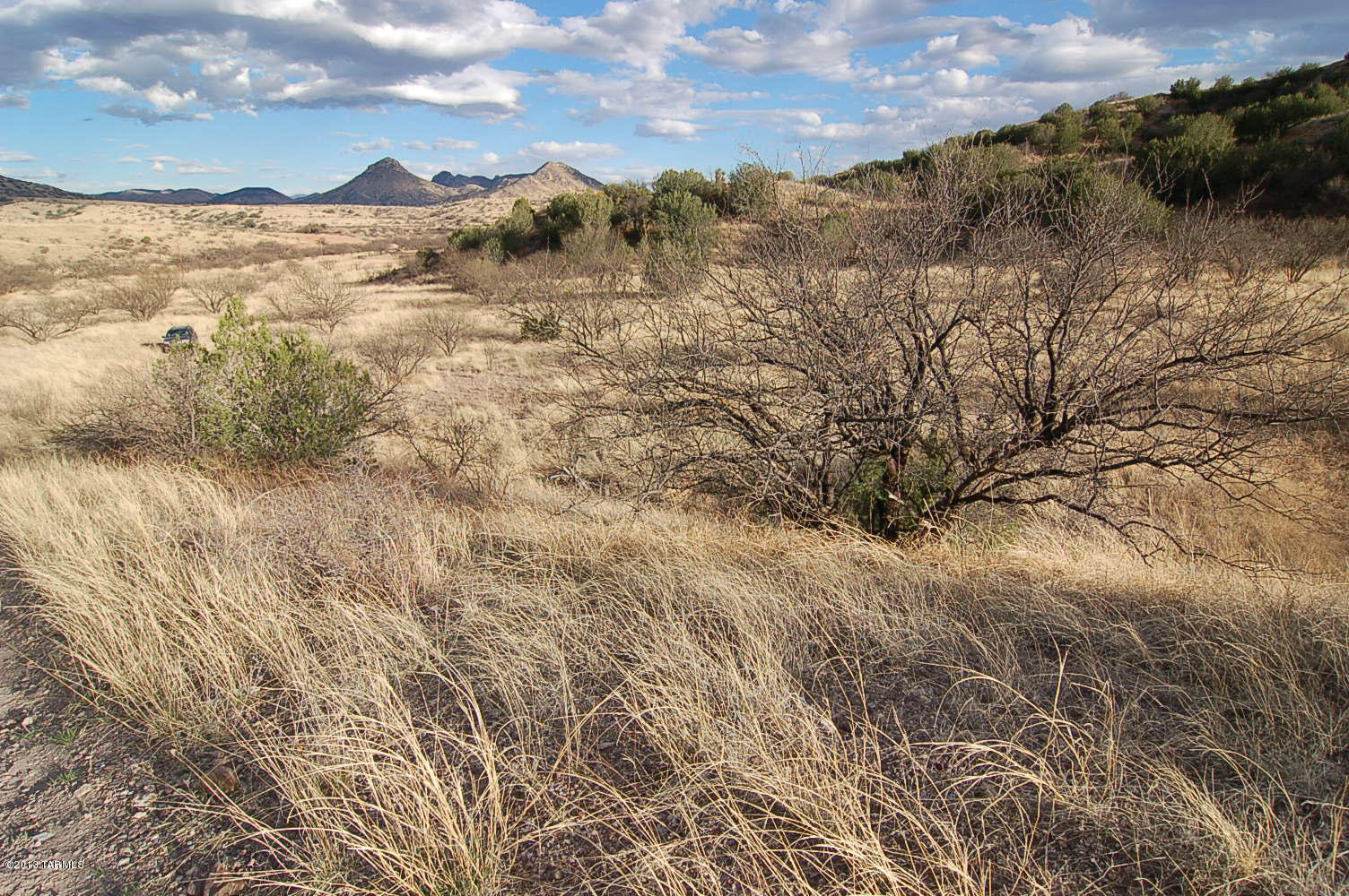 Lot D Lot D Stevens Ranch Road Patagonia, AZ 85624 - Photo 1 of 26