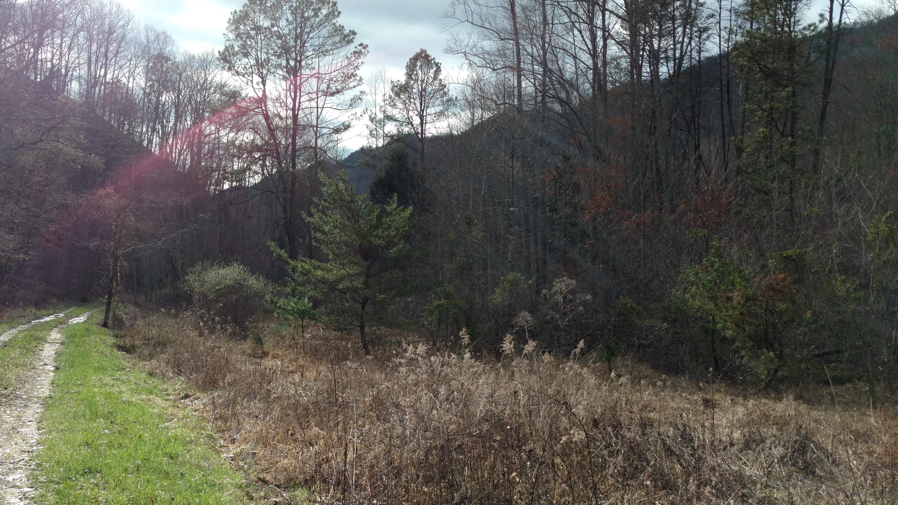 Dry Gap Road Surgoinsville, TN 37873 - Photo 1 of 2 Dry Gap 2