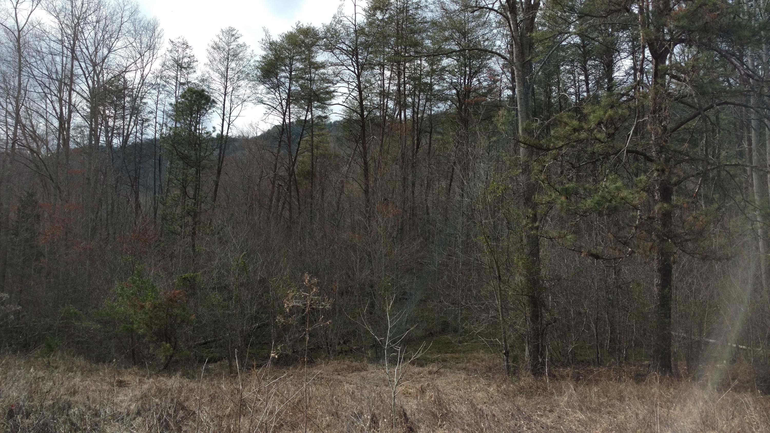 Dry Gap Road Surgoinsville, TN 37873 - Photo 2 of 2 Dry Gap