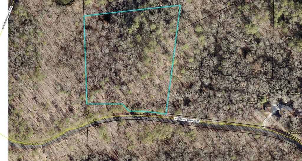 Lot 32 Woodring Branch Road Chatsworth, GA 30705 - Photo 11 of 37 a view of a forest with a tree