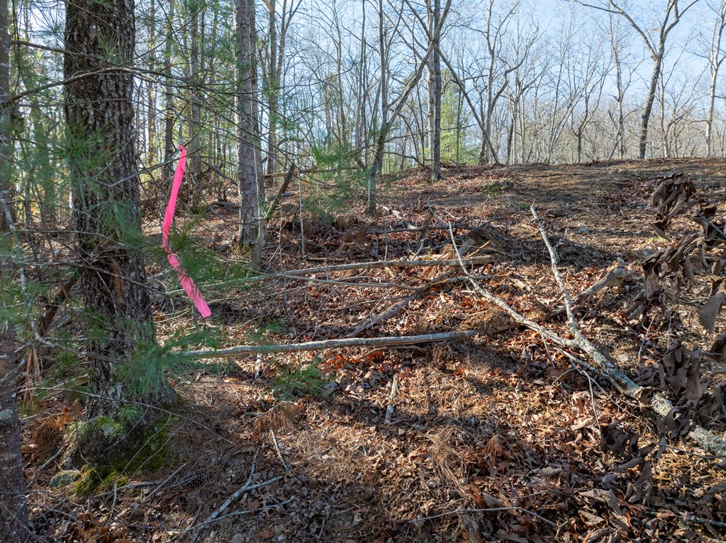 Lot 32 Woodring Branch Road Chatsworth, GA 30705 - Photo 12 of 37 a view of yard