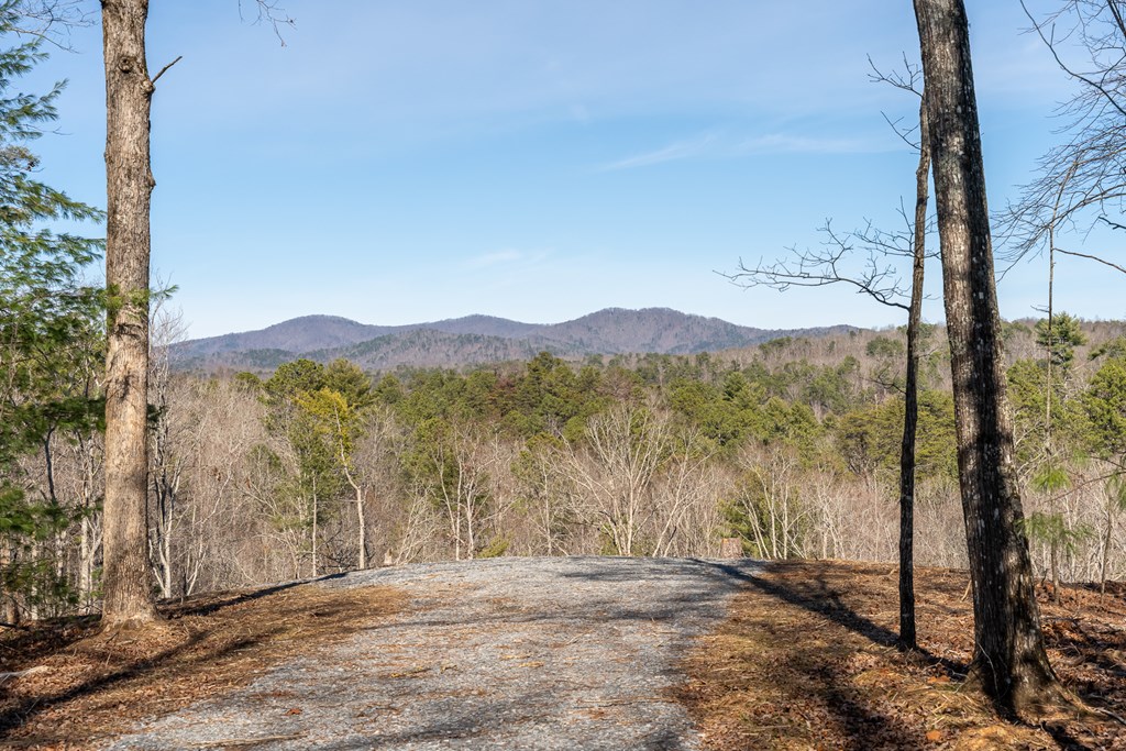 Lot 32 Woodring Branch Road Chatsworth, GA 30705 - Photo 16 of 37 a view of a road with a large trees