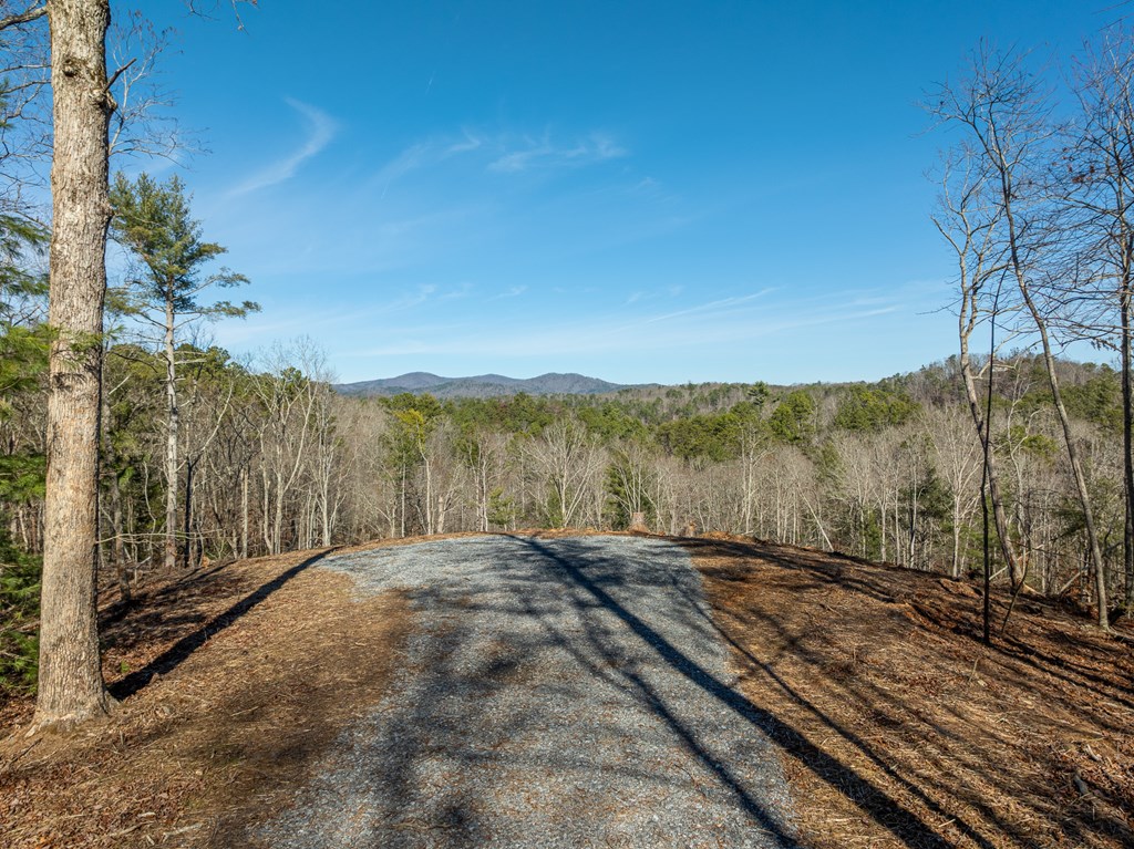 Lot 32 Woodring Branch Road Chatsworth, GA 30705 - Photo 20 of 37 a view of a road with an outdoor space