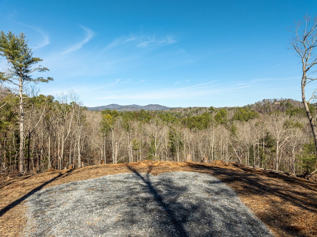Lot 32 Woodring Branch Road Chatsworth, GA 30705 - Photo 21 of 37 a view of an outdoor space with mountain view
