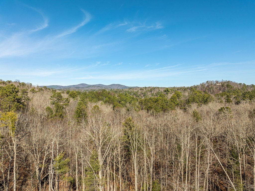 Lot 32 Woodring Branch Road Chatsworth, GA 30705 - Photo 23 of 37 a view of lake and mountain