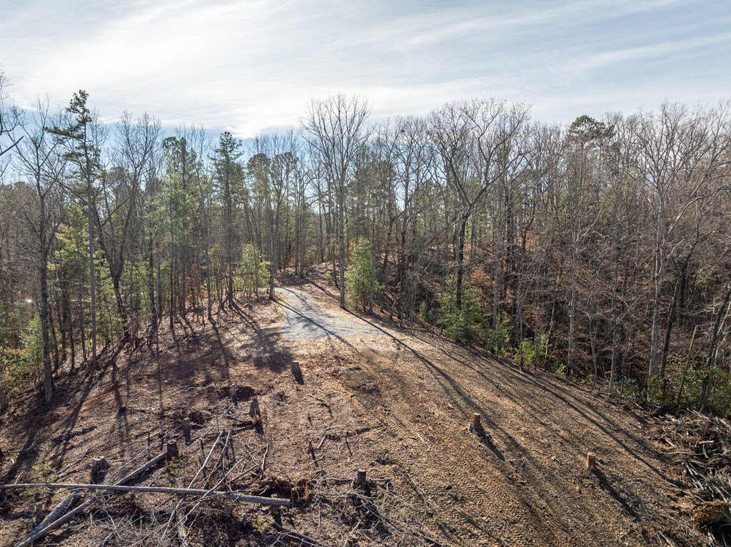 Lot 32 Woodring Branch Road Chatsworth, GA 30705 - Photo 24 of 37 a view of a forest with trees in the background