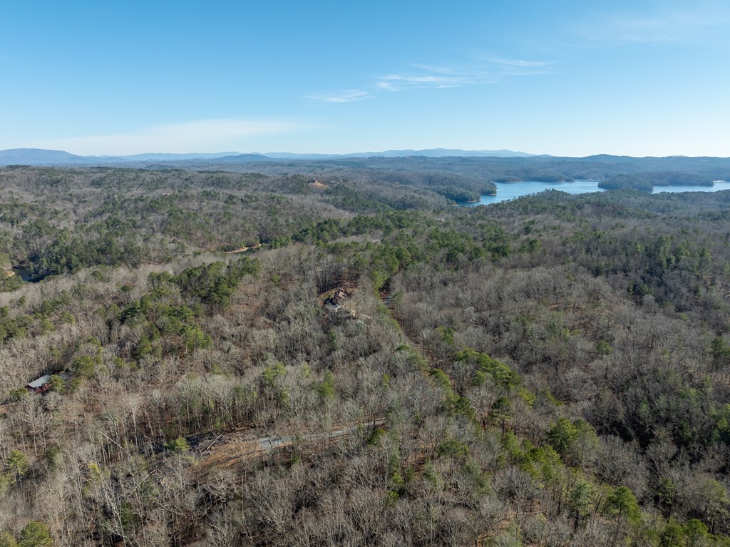 Lot 32 Woodring Branch Road Chatsworth, GA 30705 - Photo 27 of 37 an aerial view of forest
