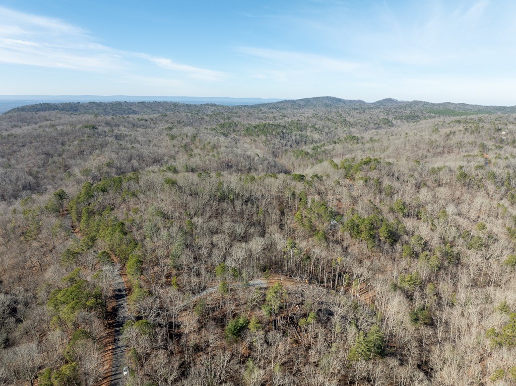Lot 32 Woodring Branch Road Chatsworth, GA 30705 - Photo 30 of 37 an aerial view of residential houses with outdoor space