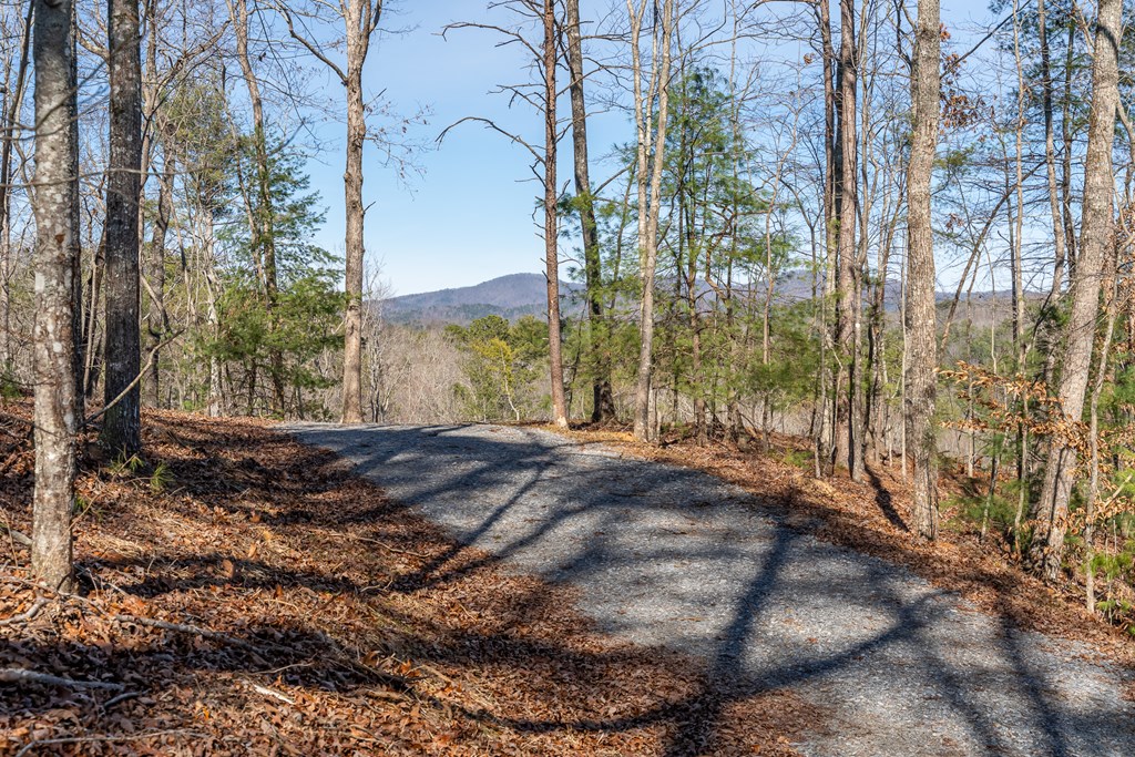 Lot 32 Woodring Branch Road Chatsworth, GA 30705 - Photo 3 of 37 a view of outdoor space and yard