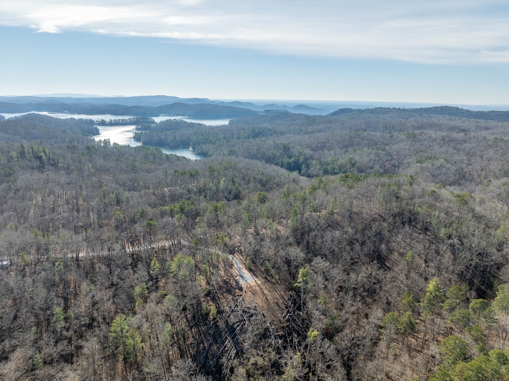 Lot 32 Woodring Branch Road Chatsworth, GA 30705 - Photo 31 of 37 a view of a yard in a field