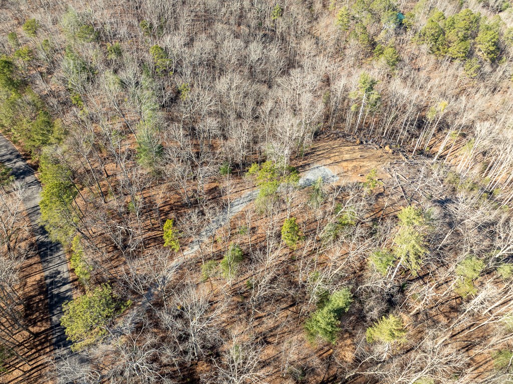 Lot 32 Woodring Branch Road Chatsworth, GA 30705 - Photo 33 of 37 a view of a yard with a tree
