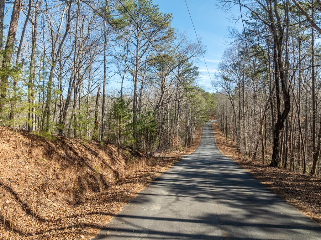 Lot 32 Woodring Branch Road Chatsworth, GA 30705 - Photo 34 of 37 a view of street along with trees