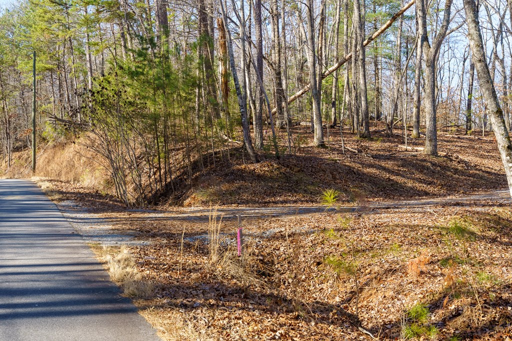 Lot 32 Woodring Branch Road Chatsworth, GA 30705 - Photo 36 of 37 a view of a yard with trees