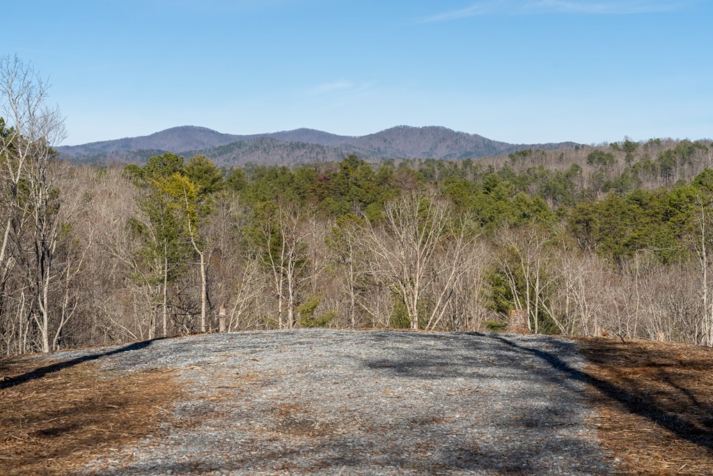 Lot 32 Woodring Branch Road Chatsworth, GA 30705 - Photo 4 of 37 a view of mountain with outdoor space