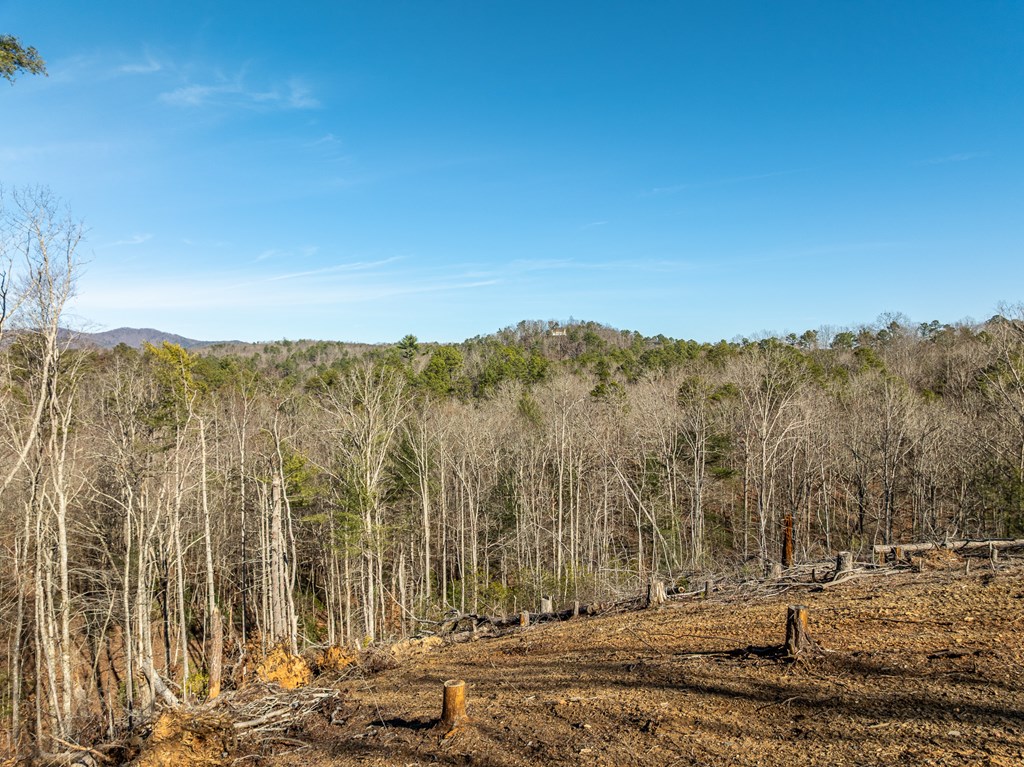 Lot 32 Woodring Branch Road Chatsworth, GA 30705 - Photo 5 of 37 a view of a road with mountains in the background