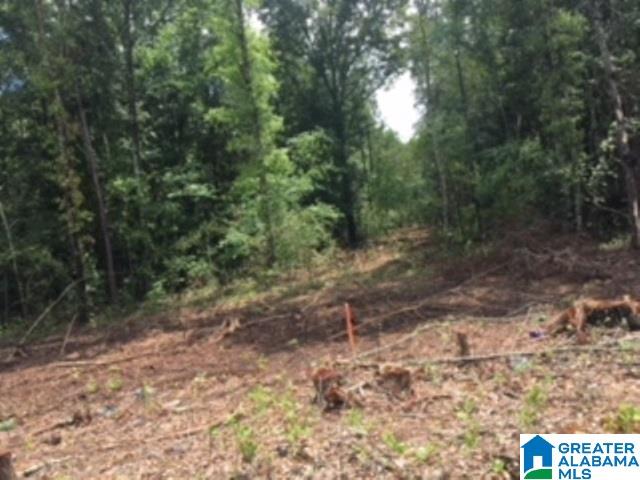 325 Springhill Road, Unit 1 Talladega, AL 35160 - Photo 24 of 31