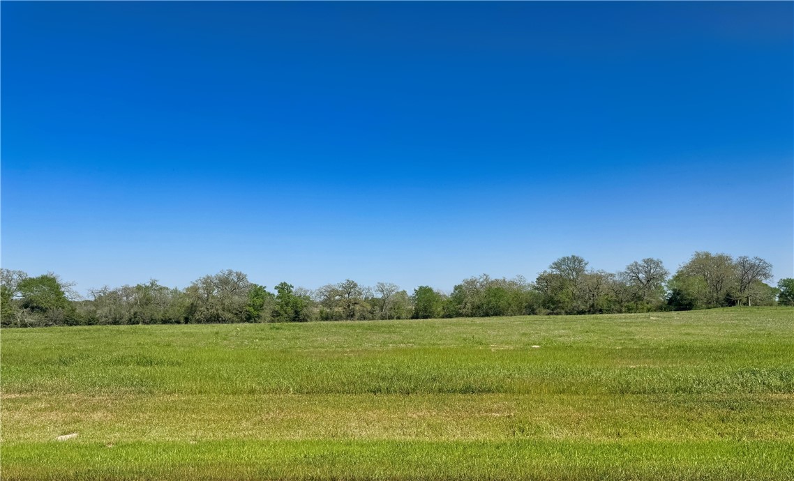 10120 Panther Creek Road Iola, TX 77861 - Photo 1 of 1 a view of a lake with a yard