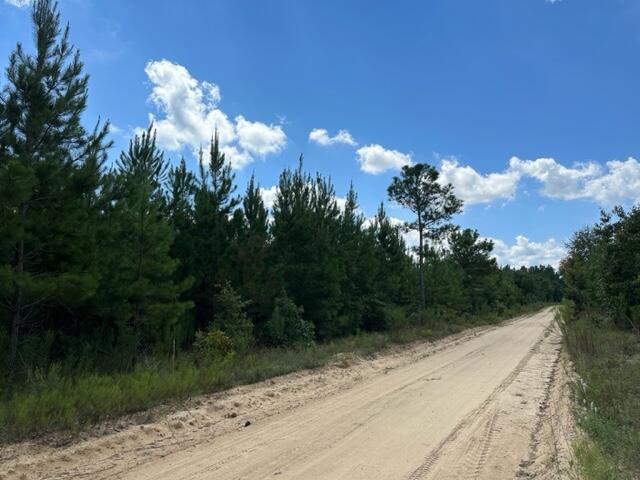 Ninety Ninety 6 Road Neeses, SC 29107 - Photo 2 of 6