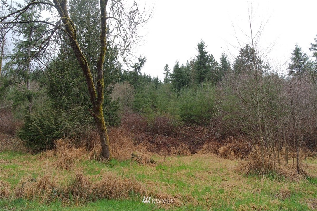158 Salzer Road Centralia, WA 98531 - Photo 1 of 25 Gallery Image 1