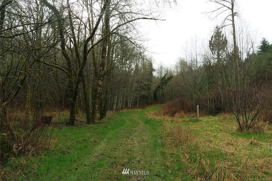 158 Salzer Road Centralia, WA 98531 - Photo 2 of 25 Gallery Image 2