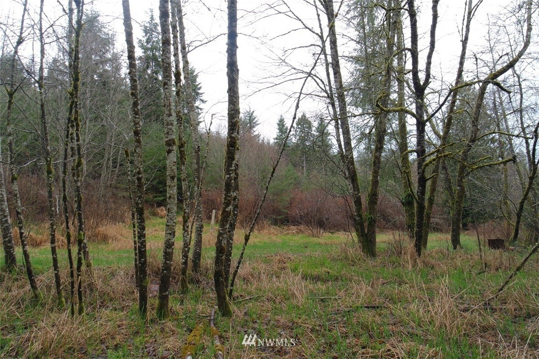 158 Salzer Road Centralia, WA 98531 - Photo 13 of 25 Gallery Image 13