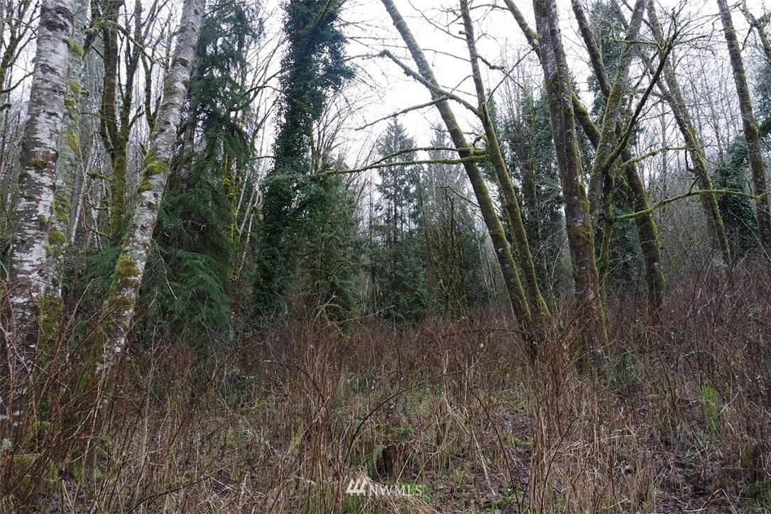 158 Salzer Road Centralia, WA 98531 - Photo 15 of 25 Gallery Image 15
