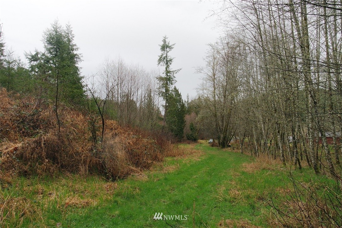 158 Salzer Road Centralia, WA 98531 - Photo 17 of 25 Gallery Image 17