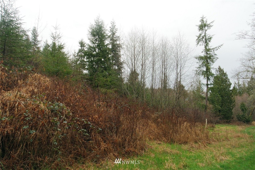 158 Salzer Road Centralia, WA 98531 - Photo 18 of 25 Gallery Image 18