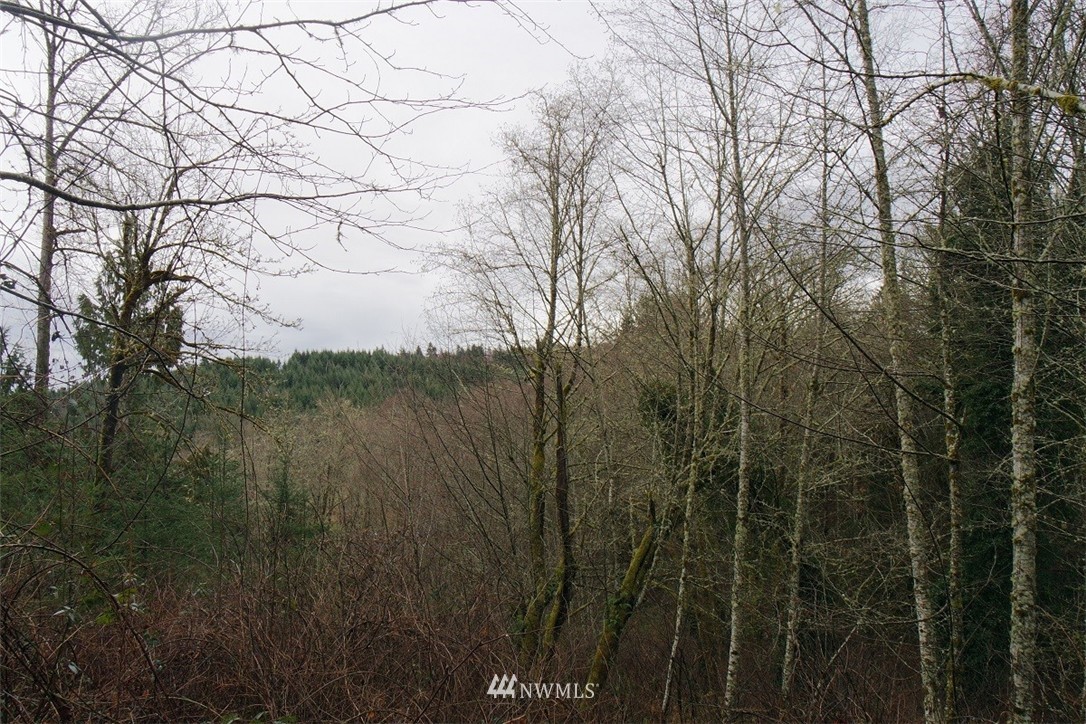 158 Salzer Road Centralia, WA 98531 - Photo 19 of 25 Gallery Image 19