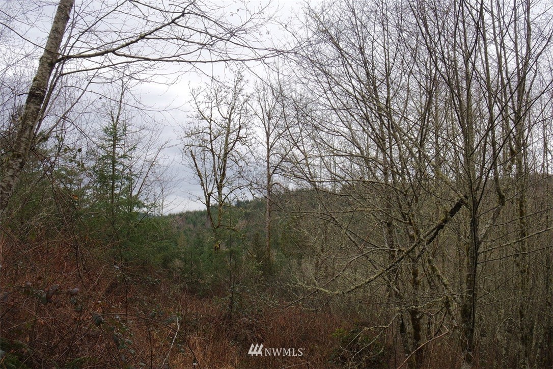 158 Salzer Road Centralia, WA 98531 - Photo 20 of 25 Gallery Image 20