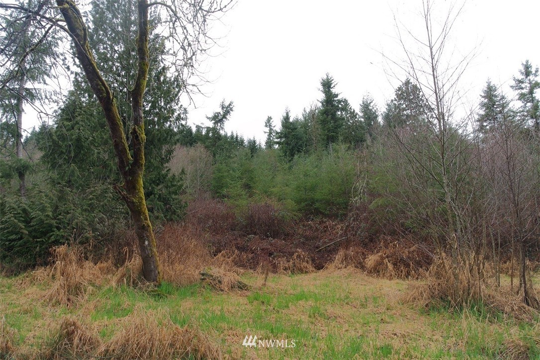 158 Salzer Road Centralia, WA 98531 - Photo 3 of 25 Gallery Image 3