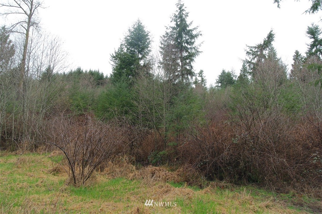 158 Salzer Road Centralia, WA 98531 - Photo 23 of 25 Gallery Image 23