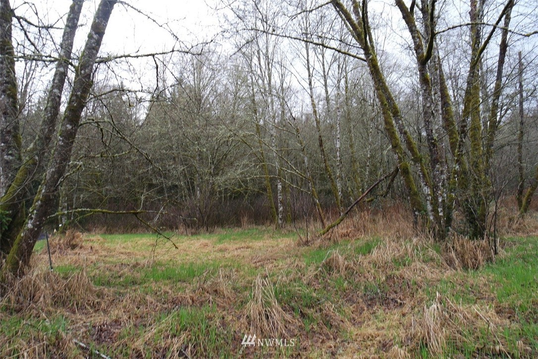 158 Salzer Road Centralia, WA 98531 - Photo 24 of 25 Gallery Image 24