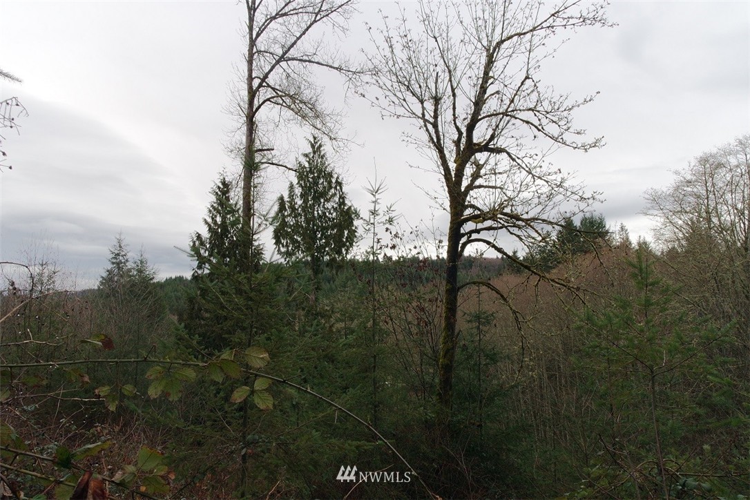158 Salzer Road Centralia, WA 98531 - Photo 4 of 25 Gallery Image 4