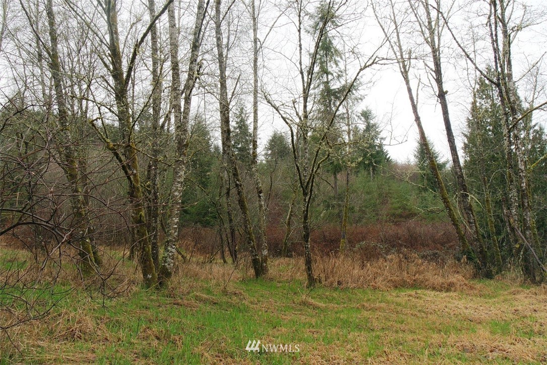 158 Salzer Road Centralia, WA 98531 - Photo 5 of 25 Gallery Image 5