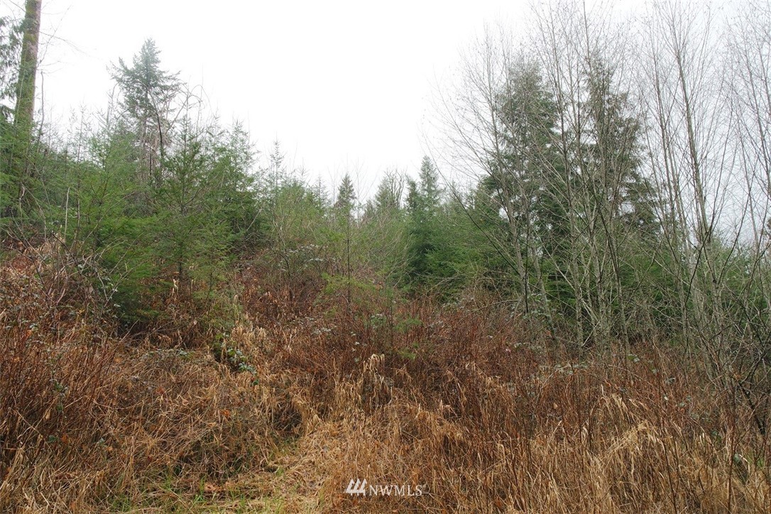 158 Salzer Road Centralia, WA 98531 - Photo 6 of 25 Gallery Image 6