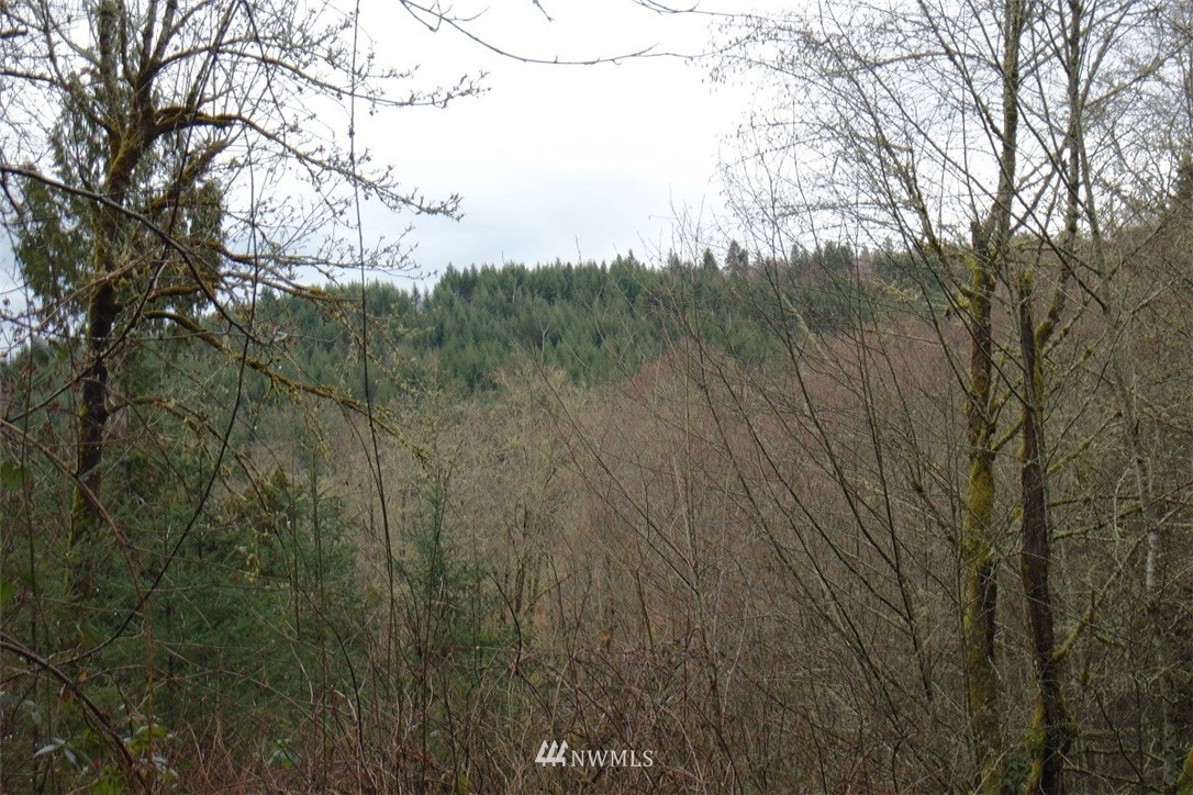 158 Salzer Road Centralia, WA 98531 - Photo 7 of 25 Gallery Image 7