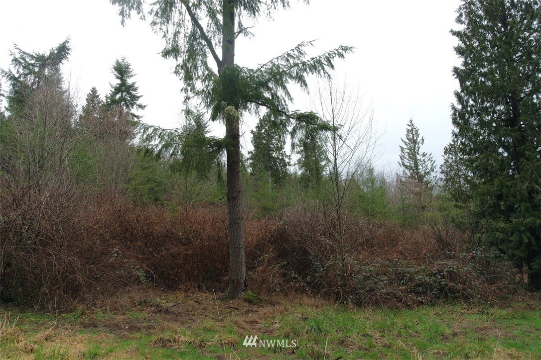 158 Salzer Road Centralia, WA 98531 - Photo 8 of 25 Gallery Image 8