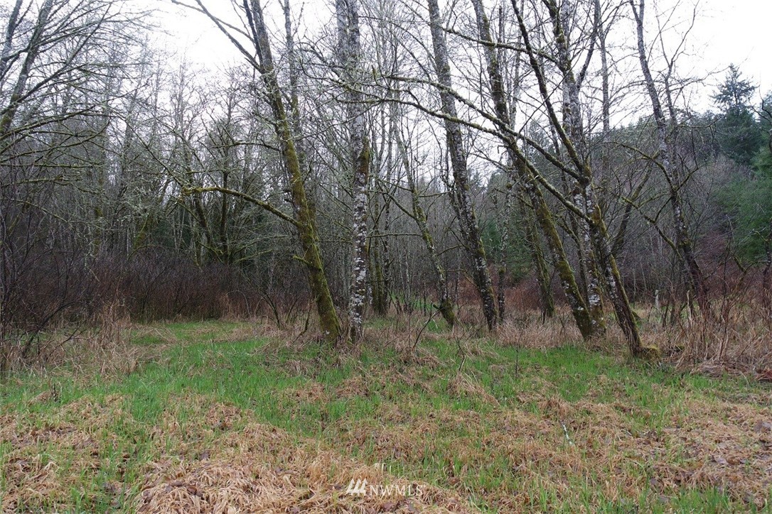158 Salzer Road Centralia, WA 98531 - Photo 9 of 25 Gallery Image 9