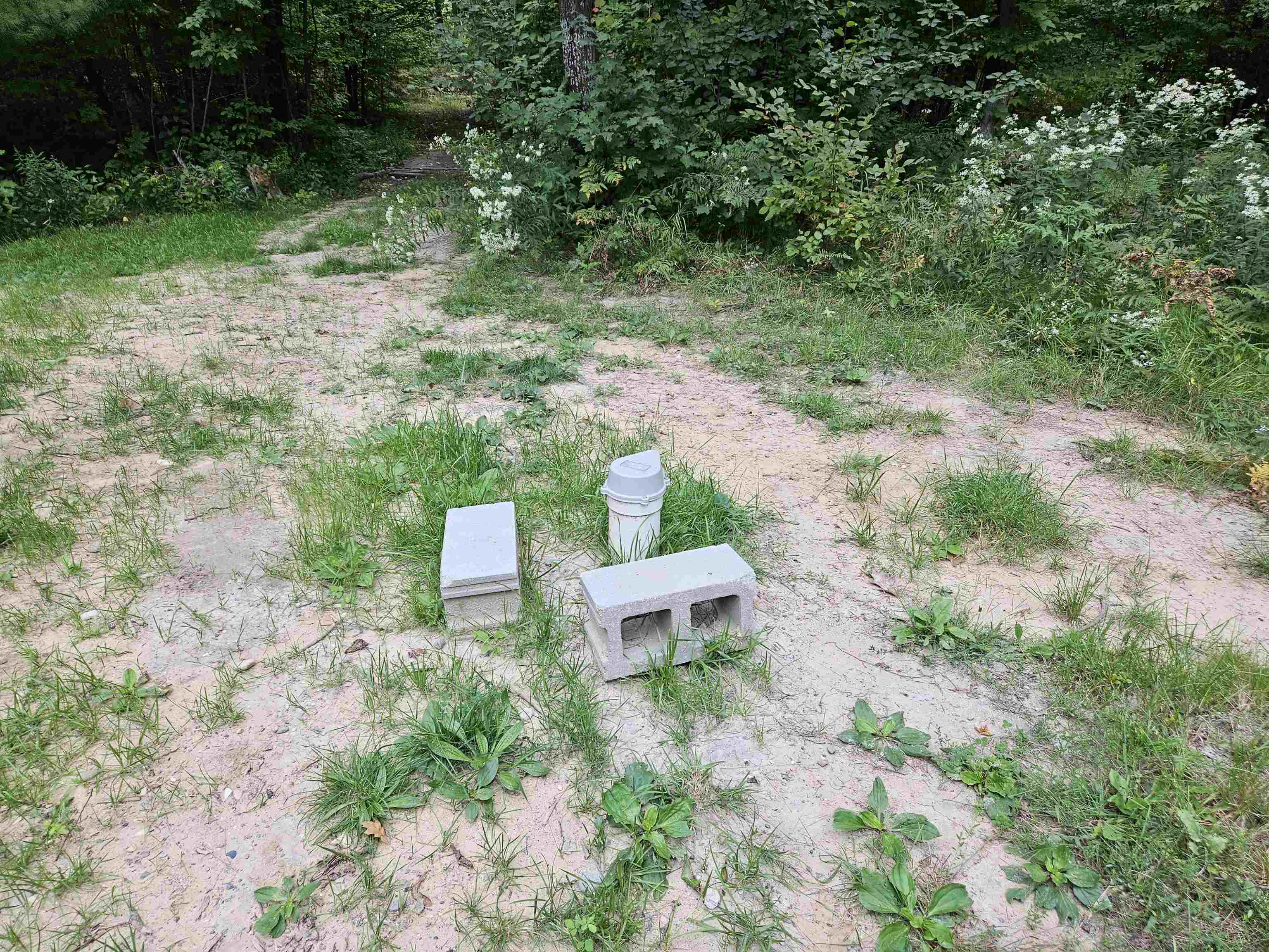 4985 Wilson Road Harrison, MI 48625 - Photo 11 of 31