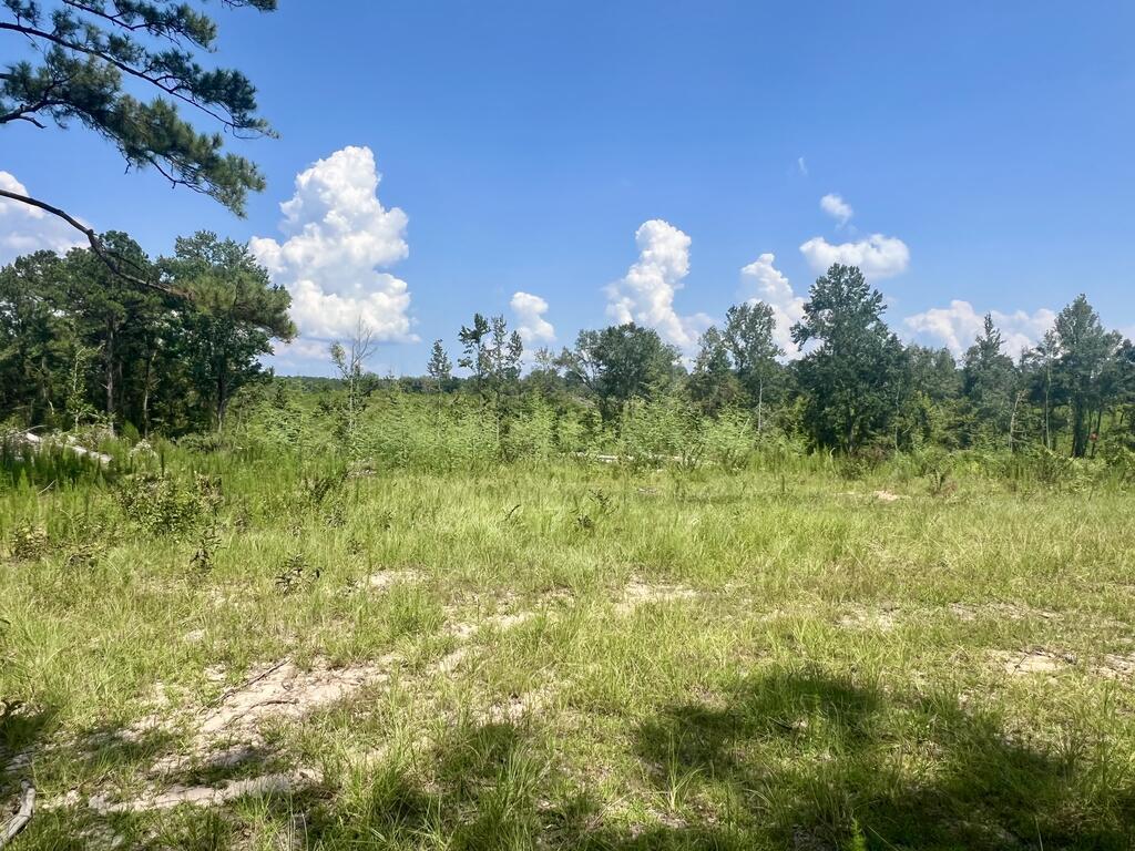 0 Co Road Laurel, MS 39443 - Photo 3 of 23 Gallery Image 3
