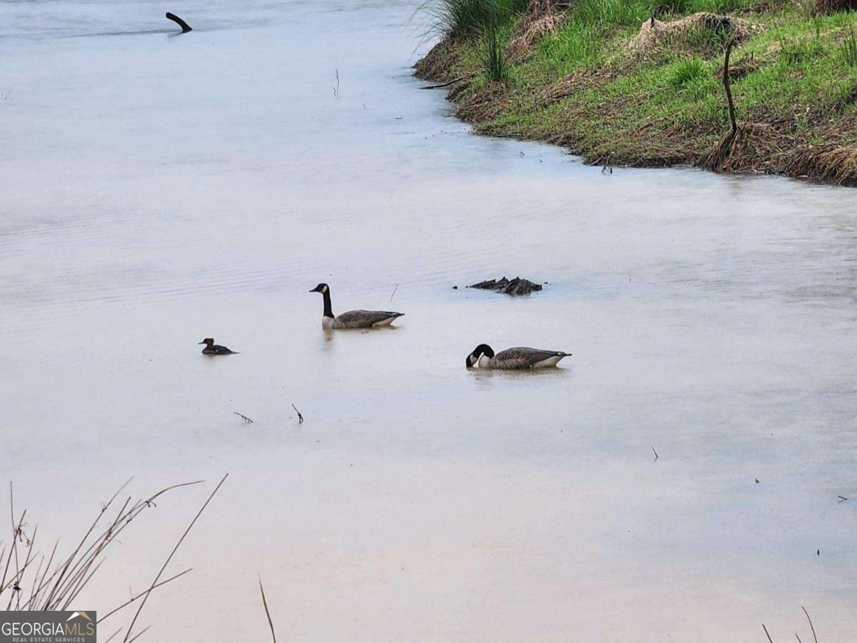 120 Bridgemill Drive Hampton, GA 30228 - Photo 4 of 11