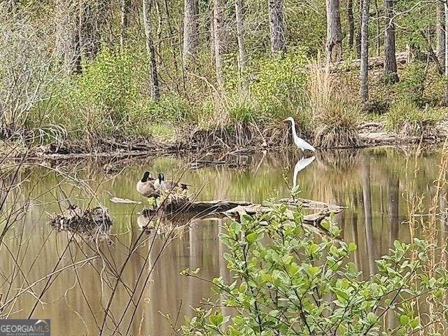 120 Bridgemill Drive Hampton, GA 30228 - Photo 6 of 11