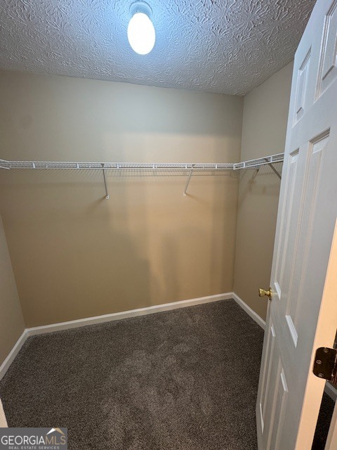 253 Whistle Way Locust Grove, GA 30248 - Photo 13 of 14