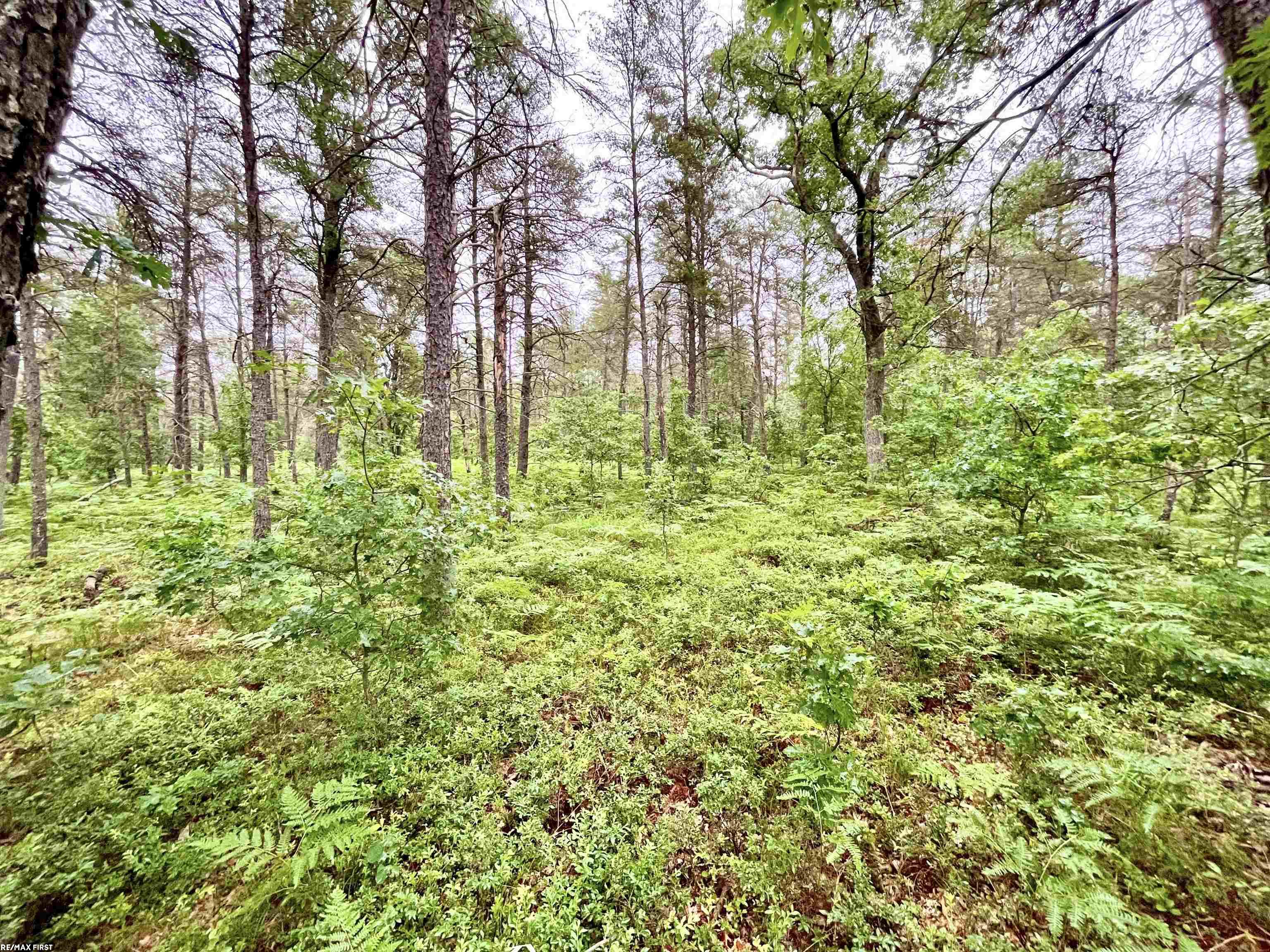 11824 Hoetzel Road Roscommon, MI 48653 - Photo 8 of 10 50147445-a5bf8279-a508-4ae5-adf0-48ce26d53dbc.JPG