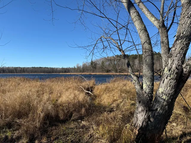 $325,000 | 51571 County Road 156, Squaw Lake, MN 56681