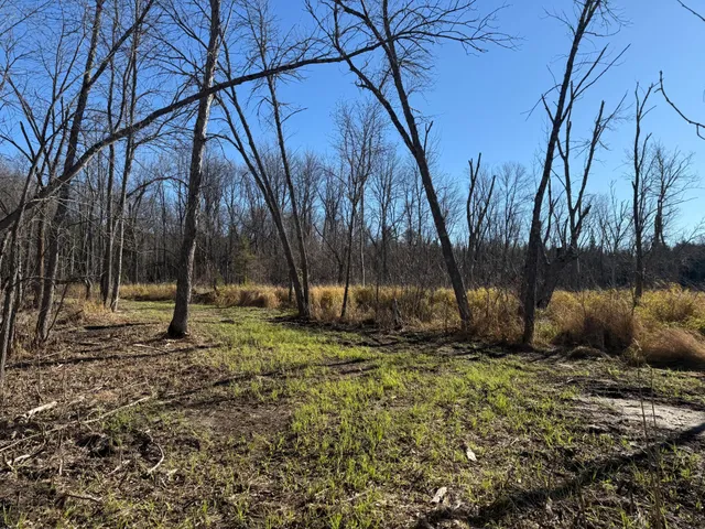 $325,000 | 51571 County Road 156, Squaw Lake, MN 56681