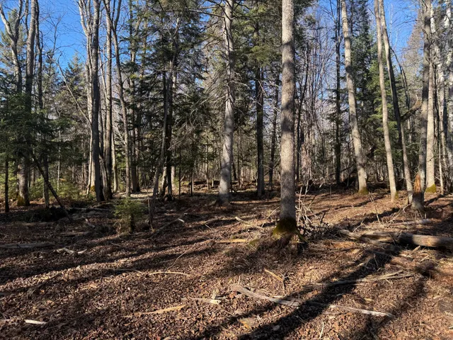 $325,000 | 51571 County Road 156, Squaw Lake, MN 56681